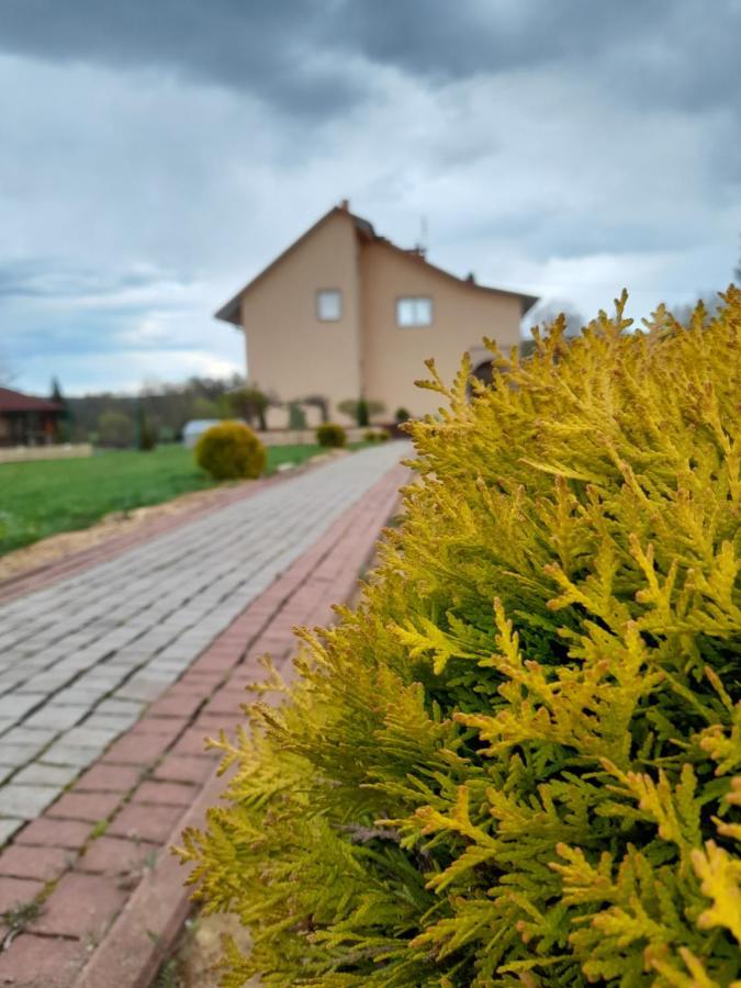 Dolina Roztoki-Mieszkanie,Pokoje Lub Domek Z Lokalem Na Poddaszu Bircza Bagian luar foto